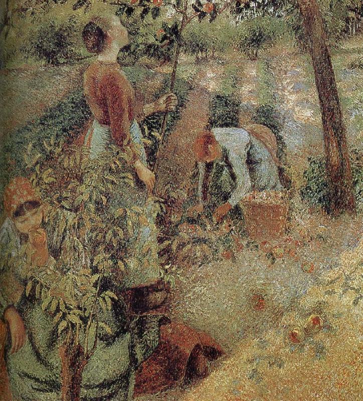 woman picking apples, Camille Pissarro